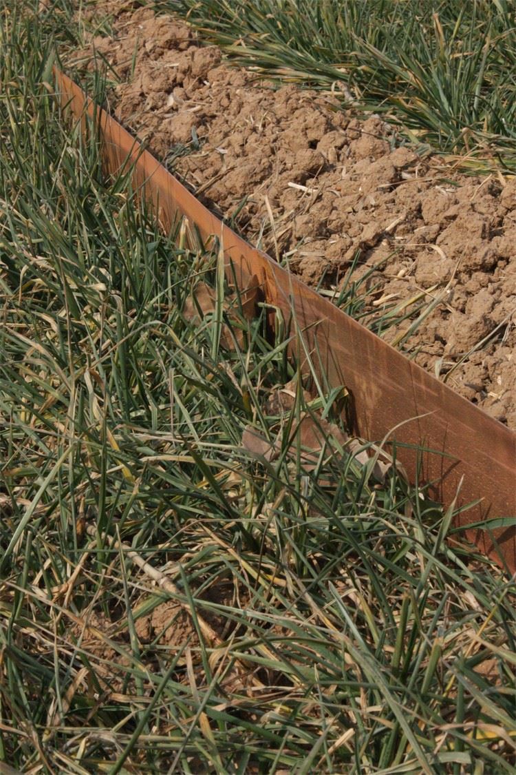 Outdoor Garden Borders Heavy-Duty Corten Steel Landscaping Edging best