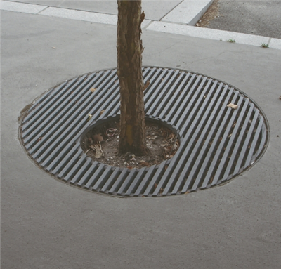 Gorchudd amddiffyn coed palmant